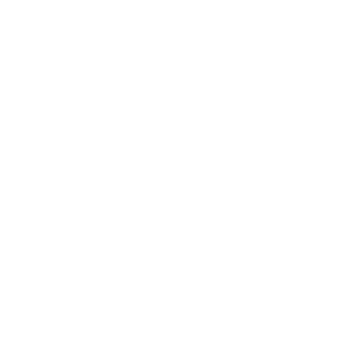 Home Icon